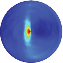 Egocentric boundary cell ratemap showing directional tuning to an environmental boundary